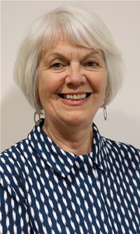 Profile image for Councillor Liz Plant